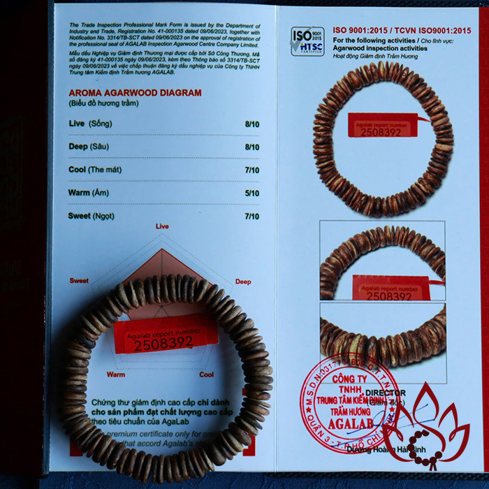 Vòng Trầm Hương Hạt Dẹp | 10 Ly | Trầm Bì Rễ Tự Nhiên